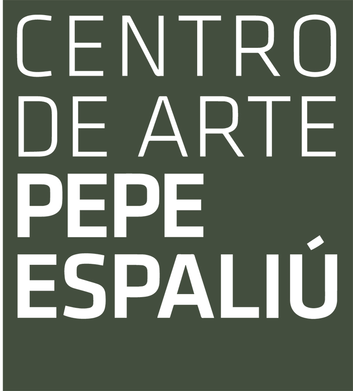 Centro de Arte Pepe Espaliù
